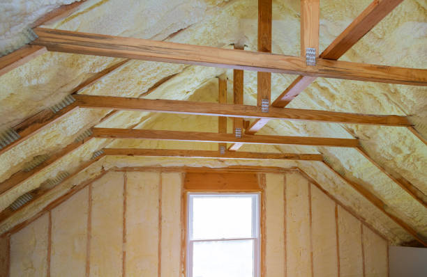 Best Eco-Friendly Insulation in Jonesboro, GA
