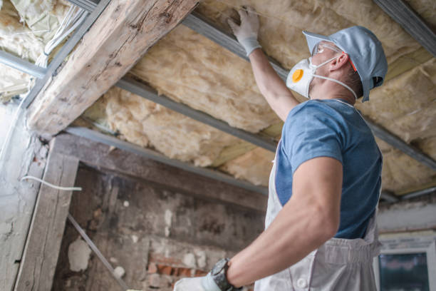 Best Insulation for Specific Applications in Jonesboro, GA