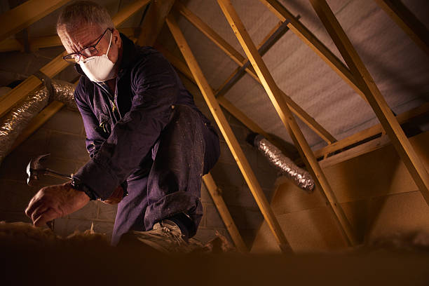 Best Residential Insulation in Jonesboro, GA